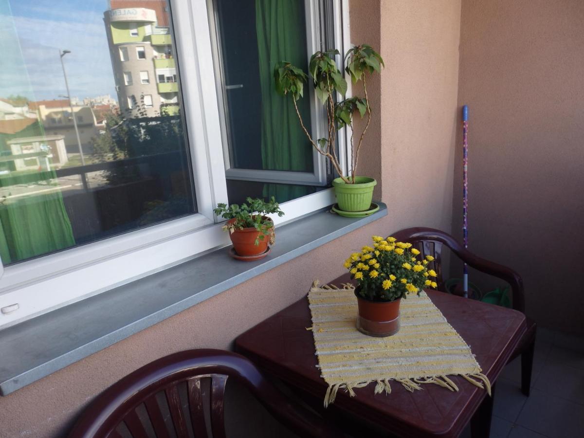 Apartment Erika 2 Novi Sad Eksteriør billede