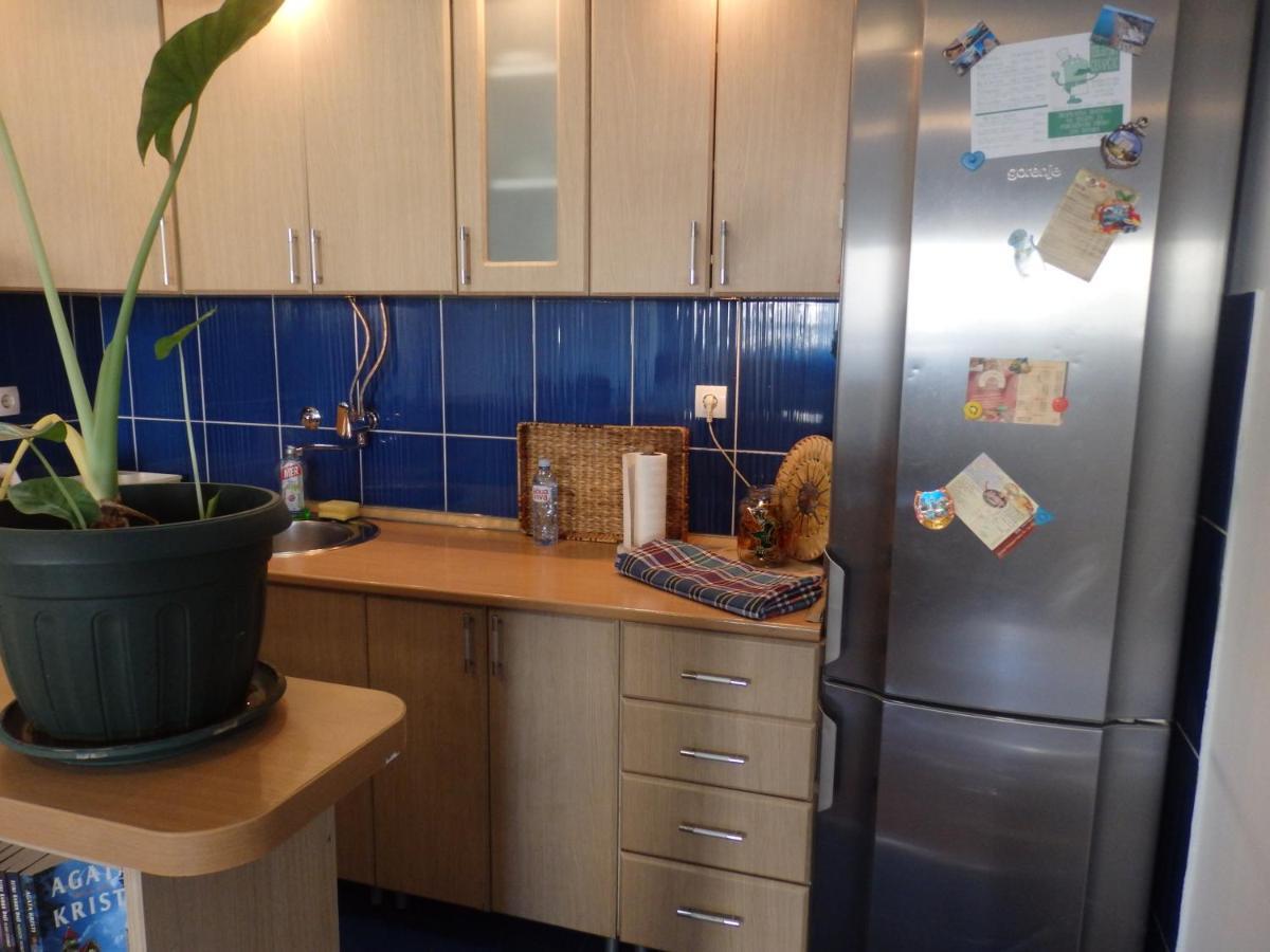 Apartment Erika 2 Novi Sad Eksteriør billede