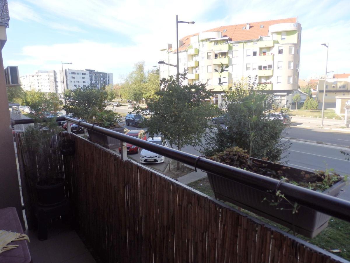 Apartment Erika 2 Novi Sad Eksteriør billede