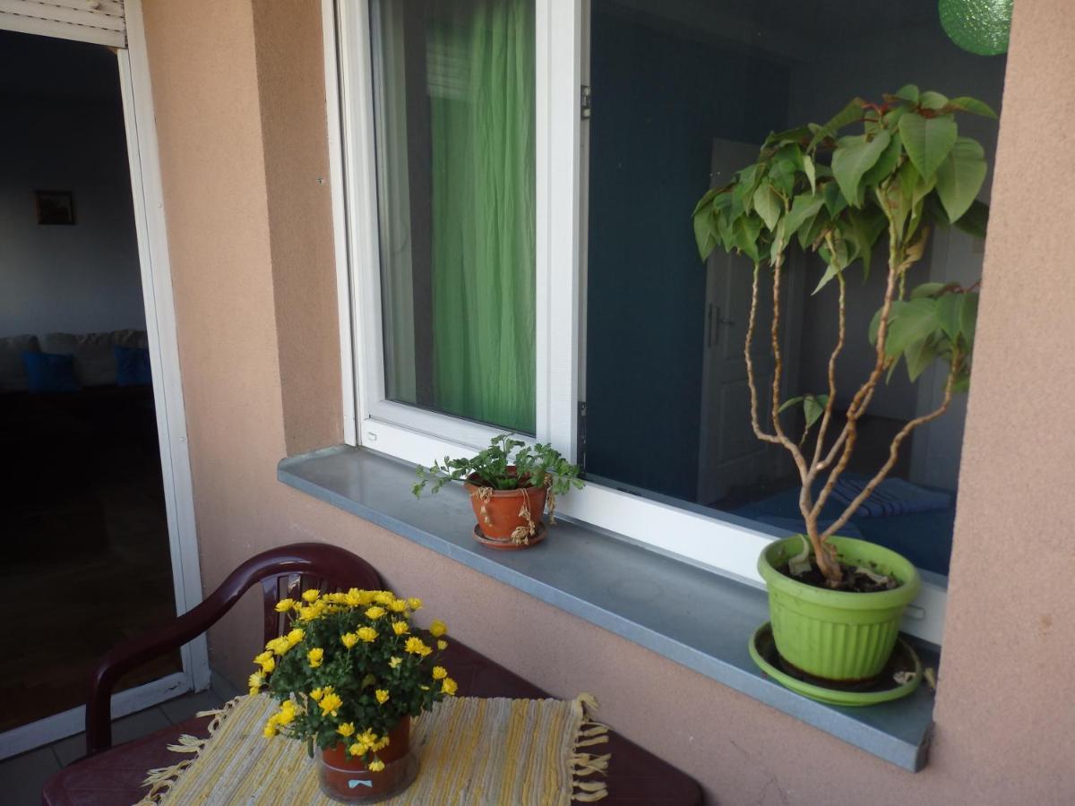 Apartment Erika 2 Novi Sad Eksteriør billede