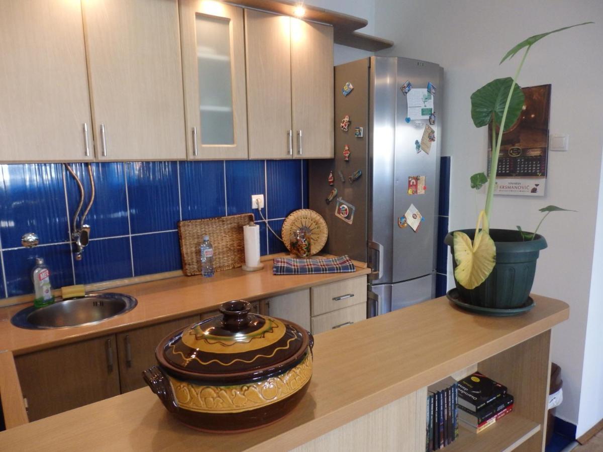 Apartment Erika 2 Novi Sad Eksteriør billede