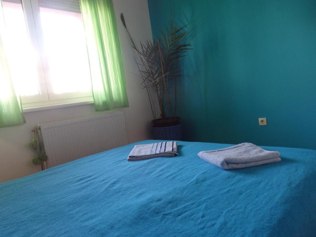 Apartment Erika 2 Novi Sad Eksteriør billede