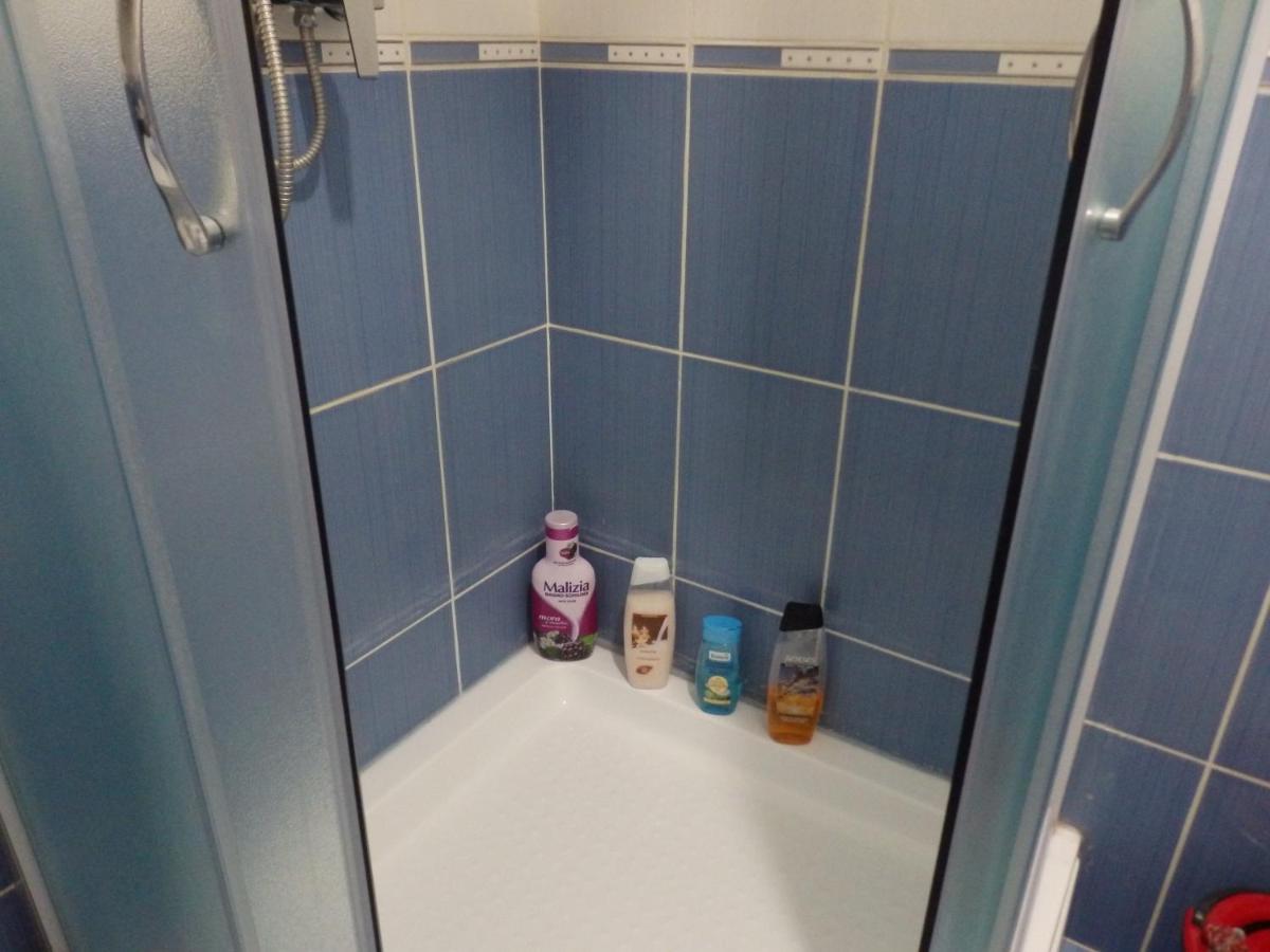 Apartment Erika 2 Novi Sad Eksteriør billede