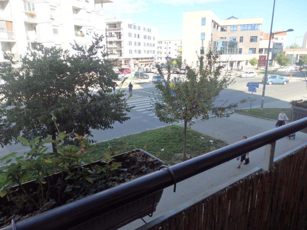 Apartment Erika 2 Novi Sad Eksteriør billede